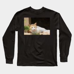 Gato Long Sleeve T-Shirt